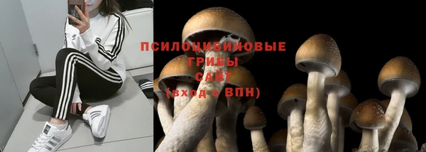 spice Балабаново
