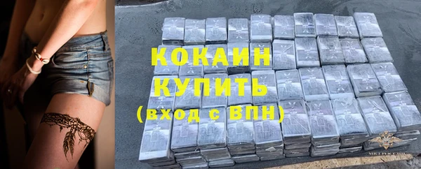 дживик Россошь