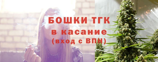 гашик Балахна