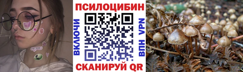 Галлюциногенные грибы MAGIC MUSHROOMS  сколько стоит  Белинский 